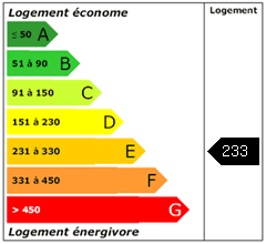 Consomation énergie : 233